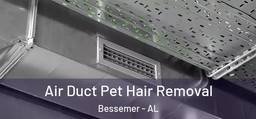 Air Duct Pet Hair Removal Bessemer - AL