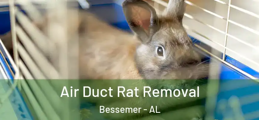 Air Duct Rat Removal Bessemer - AL