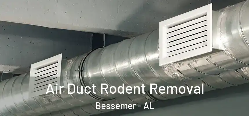 Air Duct Rodent Removal Bessemer - AL