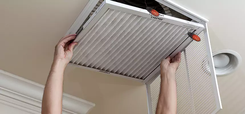 Our Insect Removal from Air Ducts Services in Bessemer, AL
