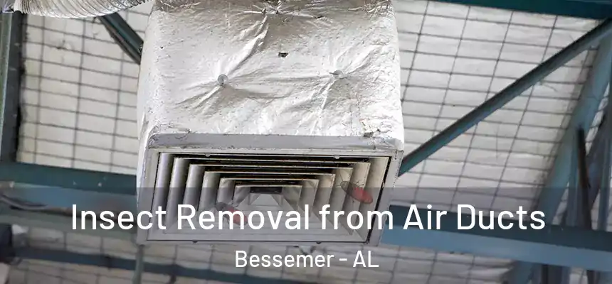 Insect Removal from Air Ducts Bessemer - AL