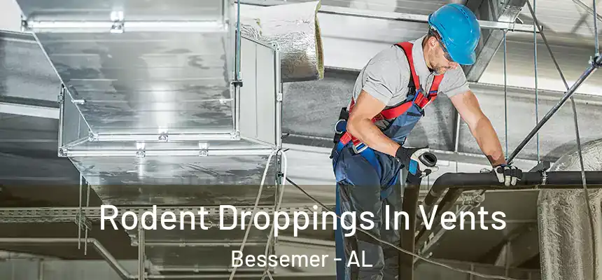 Rodent Droppings In Vents Bessemer - AL