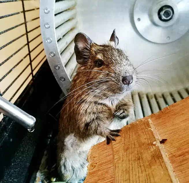 Why Homeowners & Businesses Trust Us Bessemer, AL